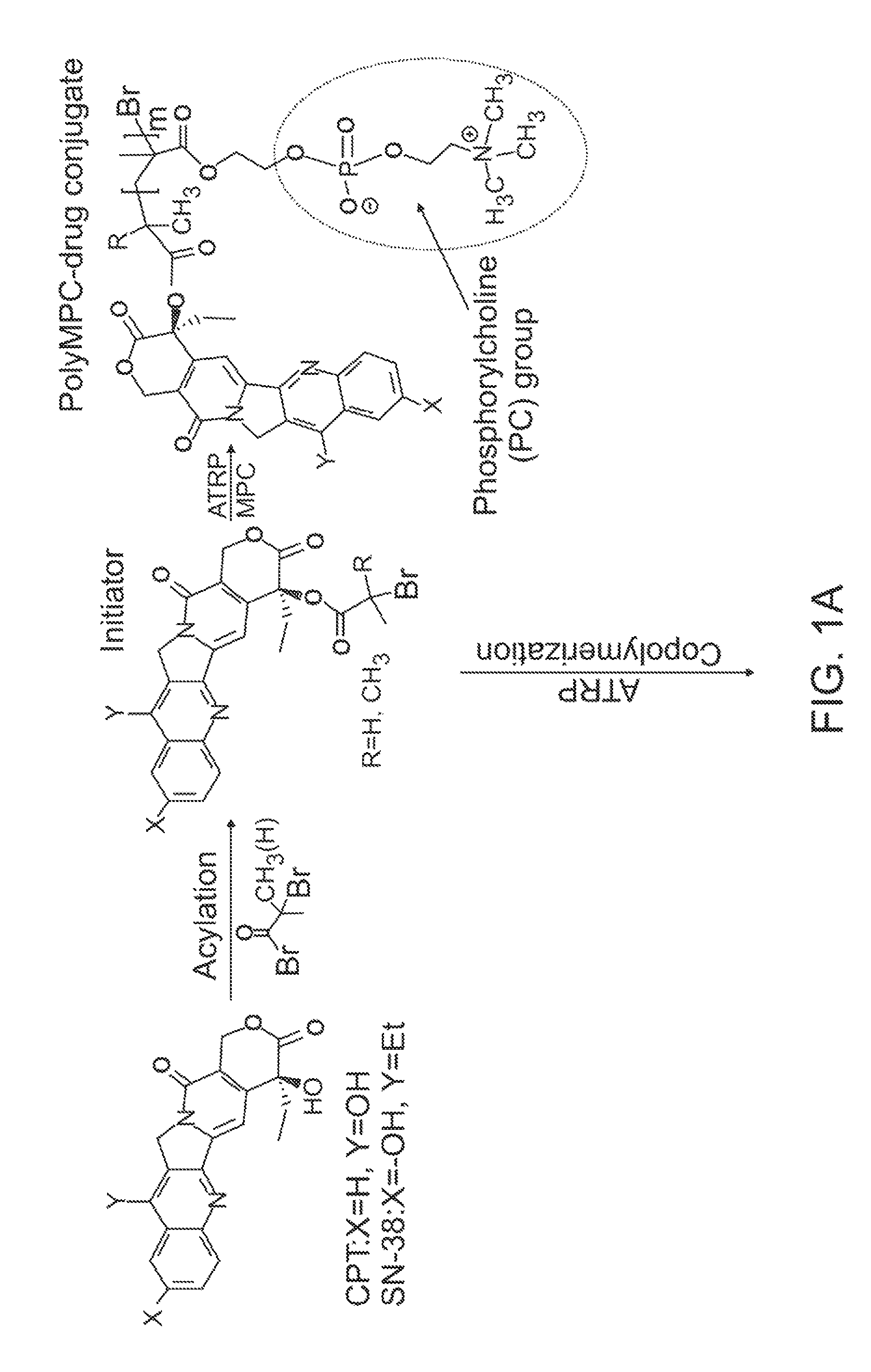 Zwitterionic polymers with therapeutic moieties
