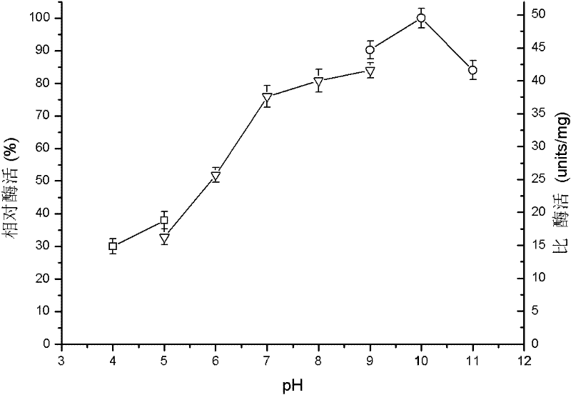 Glucose isomerase mutant and application thereof