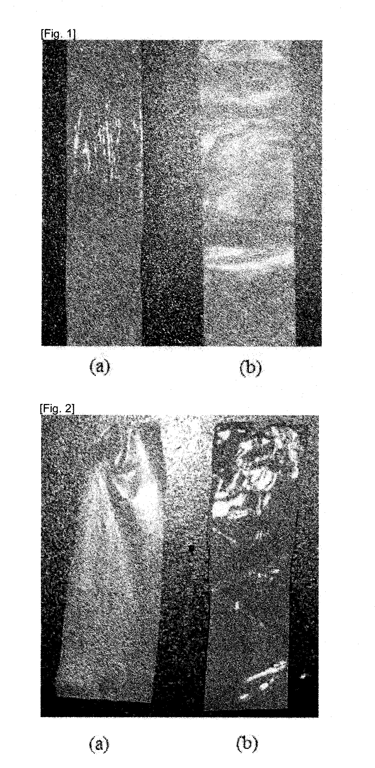 Method for producing dried bio cellulose