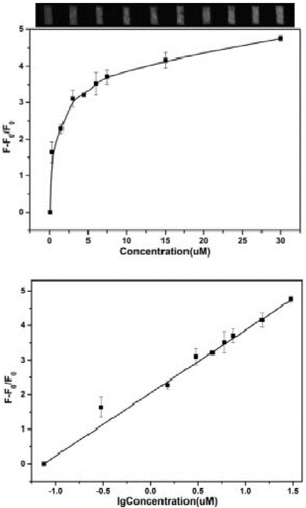 Detection method of graphene oxide test paper for identification of collagen peptide