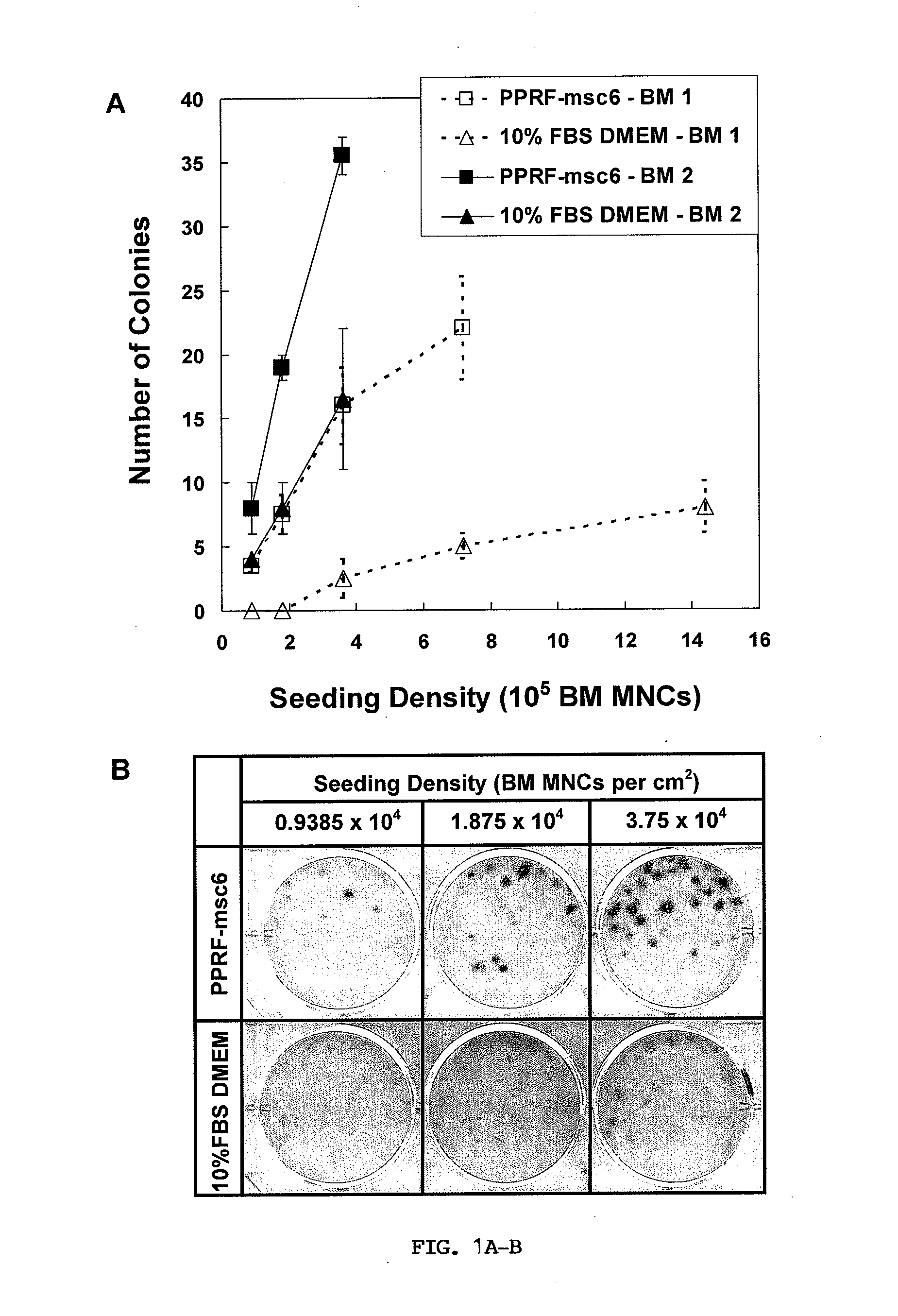 Methods and Compositions for Isolating, Maintaining and Serially Expanding Human Mesenchymal Stem Cells