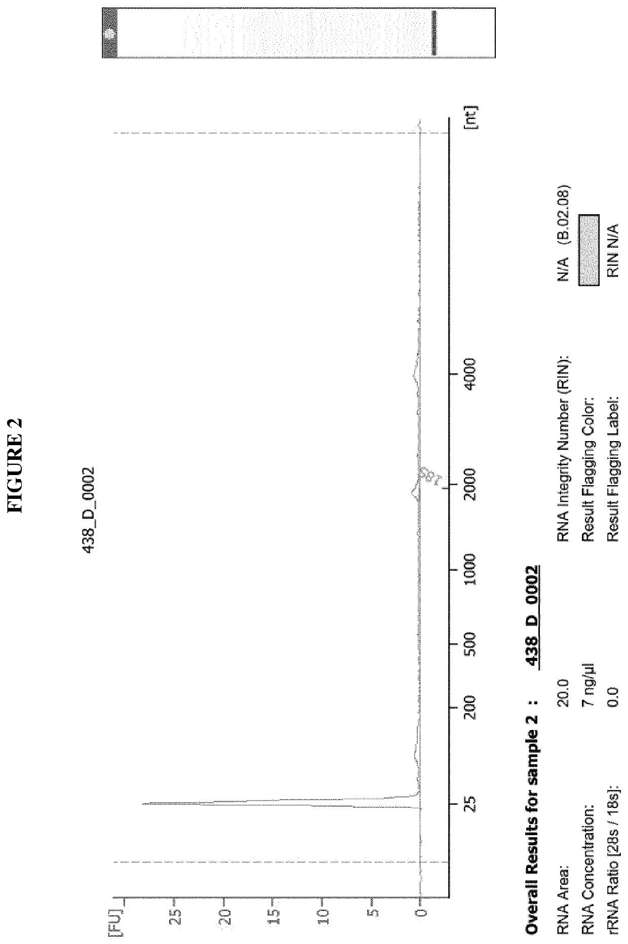 Purification of RNA fractions using a hydrophilic polymeric material