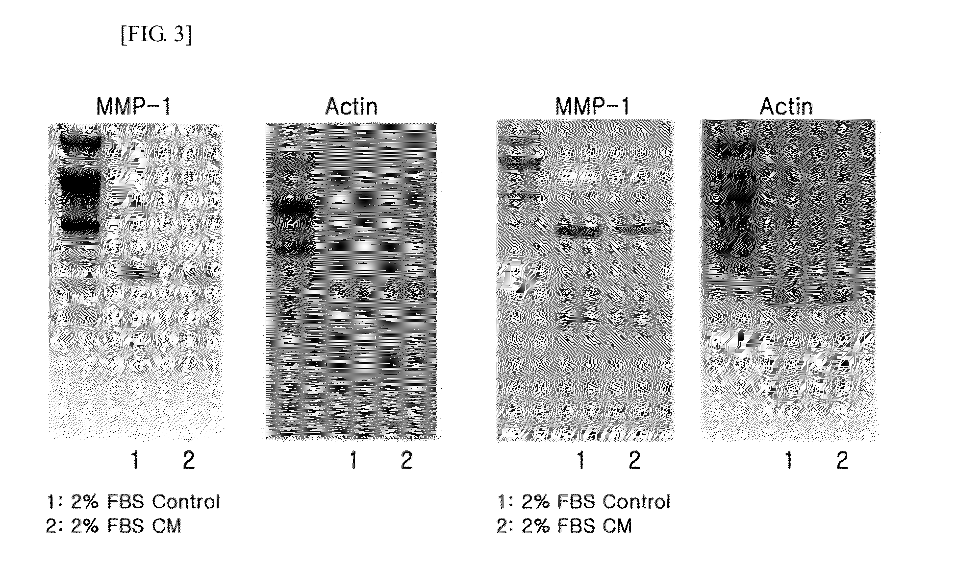 Cosmetic composition comprising a stem-cell culture fluid, and a production method therefor