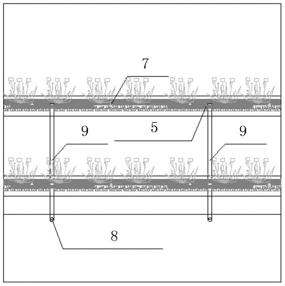 A kind of concrete retaining wall scupper hole greening structure and method