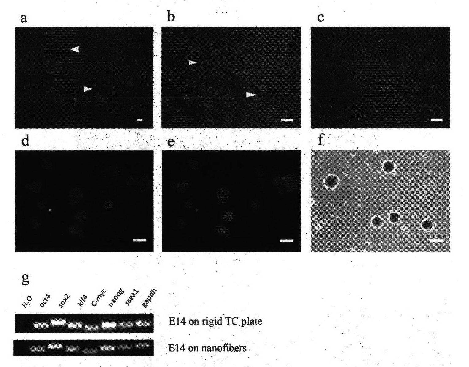 Preparation method of corn alcohol-soluble protein nanofiber membrane used for cell culture