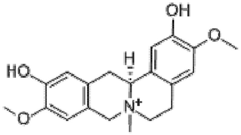 A pharmaceutical composition for preventing and treating cerebral infarction