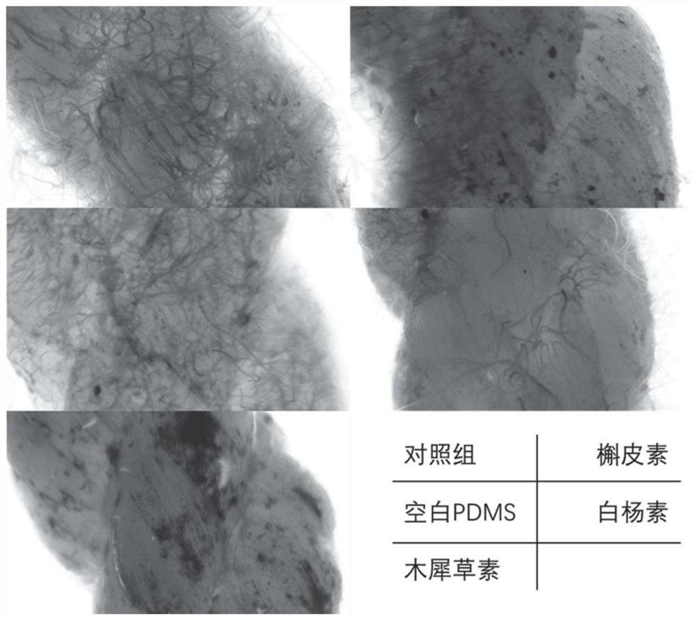A kind of coating that reduces enteromorpha fouling and application method thereof