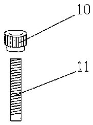 Method for regulating and controlling carbon flow of phytoplankton