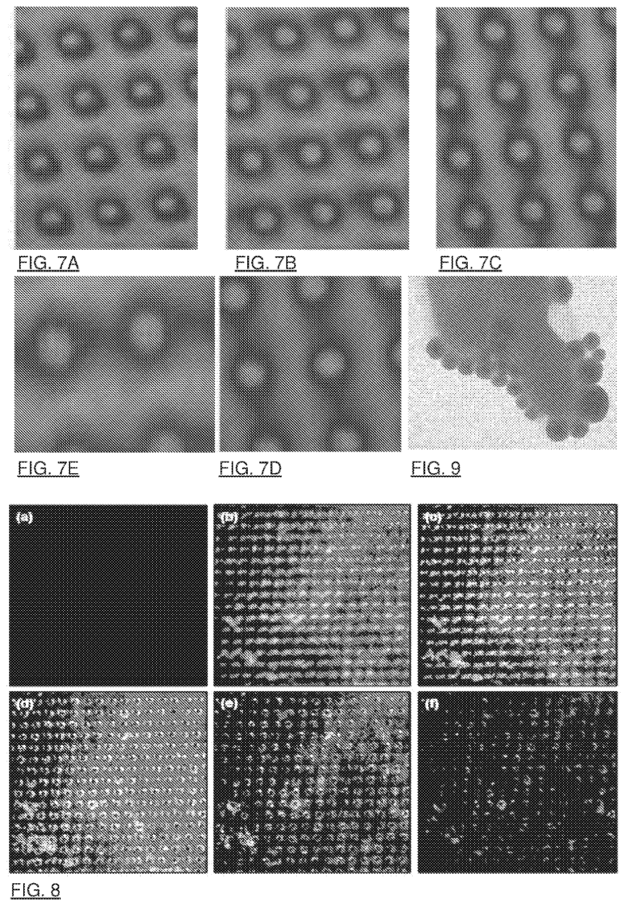 Magnetic Nanoparticle Distribution in Microfluidic Chip