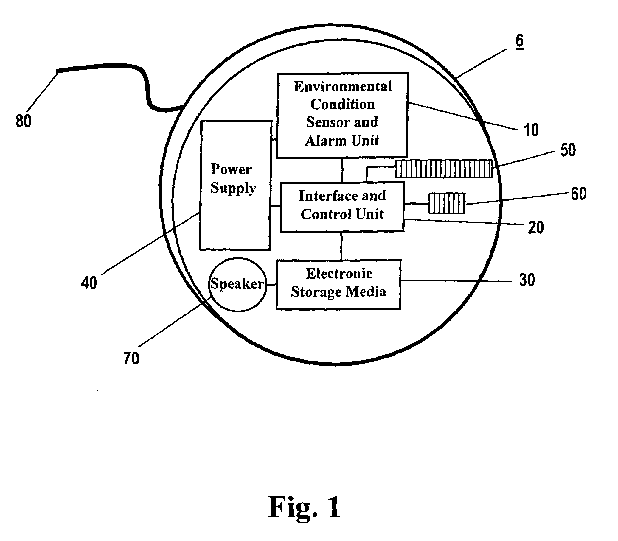 Environmental condition detector with audible alarm and voice identifier