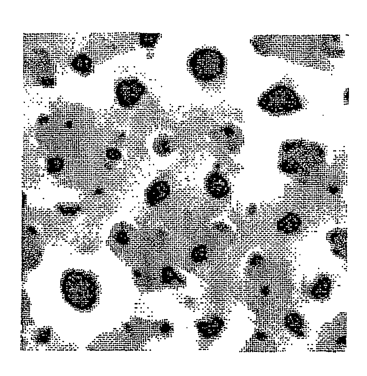 Osseoinductive magnesium-titanate implant and method of manufacturing the same