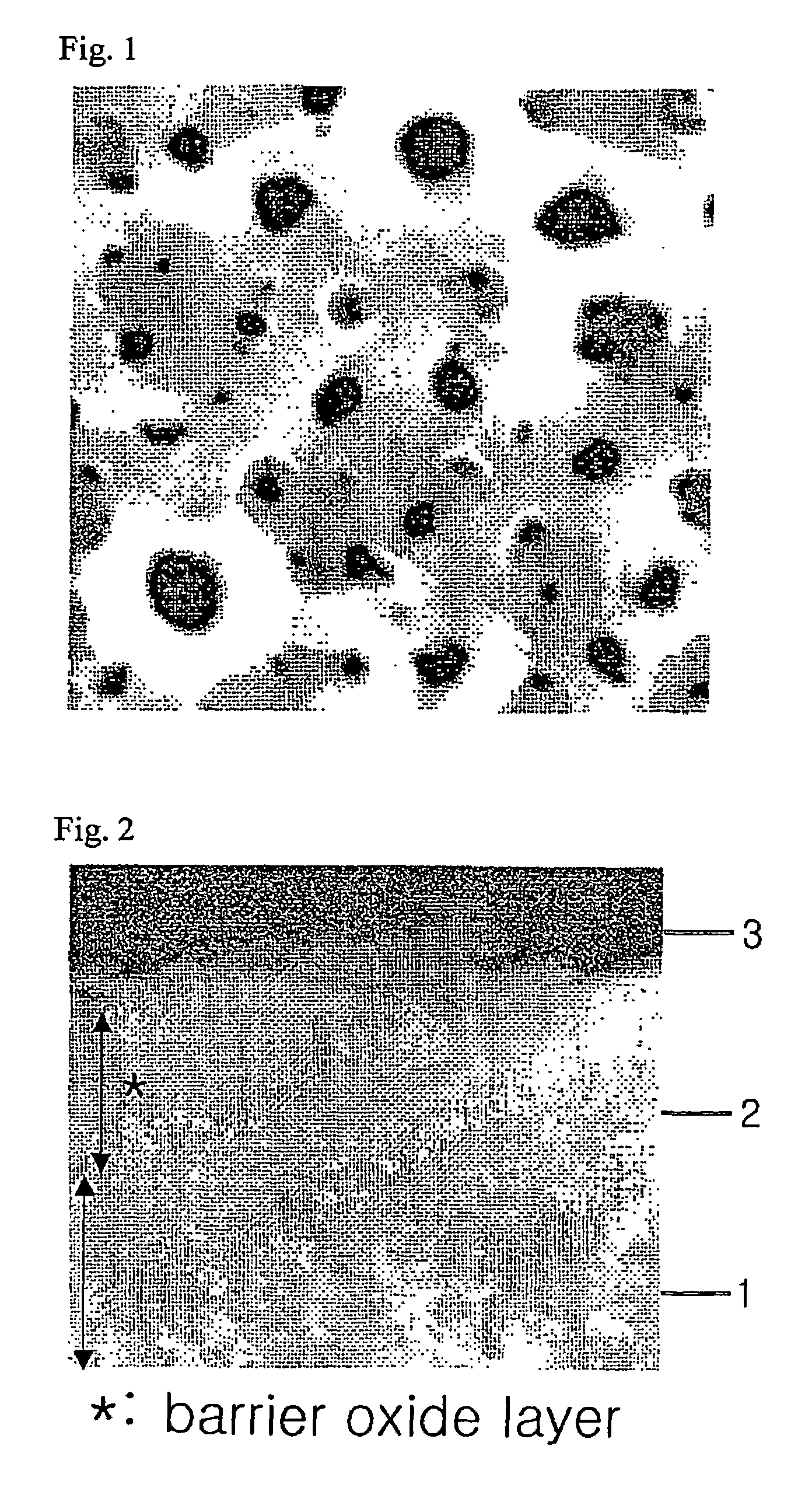 Osseoinductive magnesium-titanate implant and method of manufacturing the same