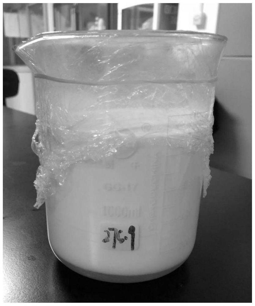 Plant double-protein fermented flavored yoghurt and preparation method thereof