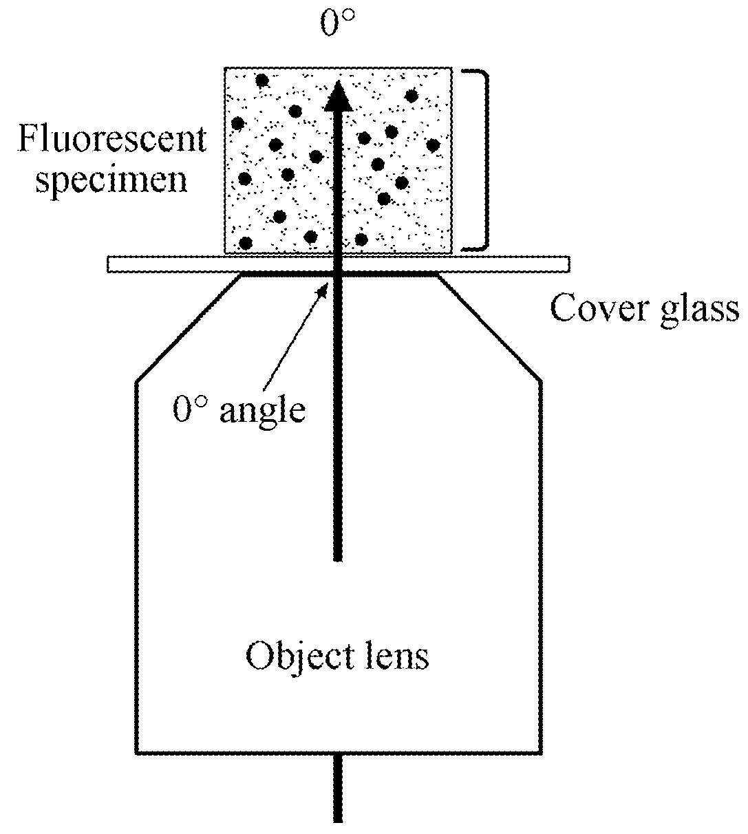 Total internal reflection fluorescence microscope (TIRFM)