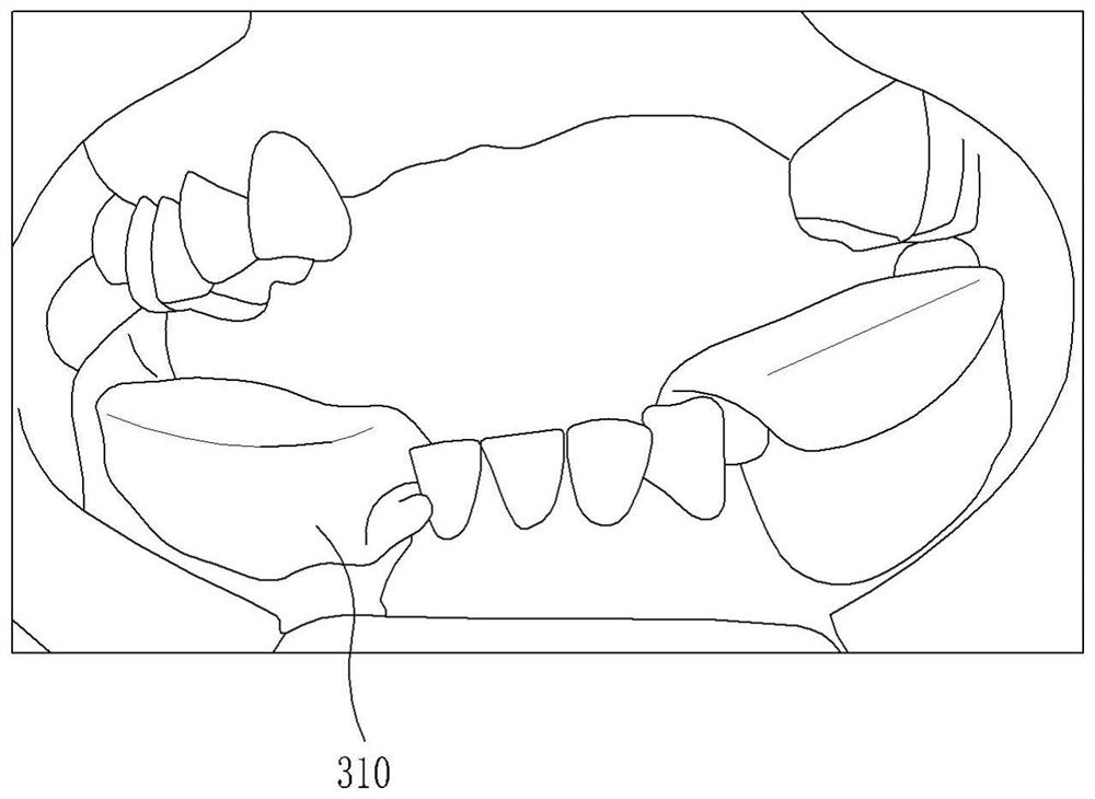 Assembly type rod for recording occlusal plane