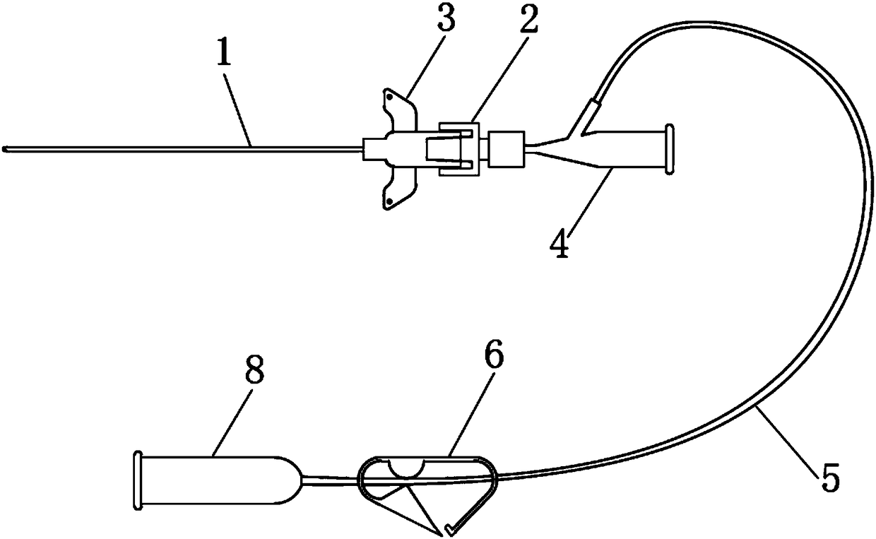An experimental mouse's position and evaluation of the intubation of oral trachea intubation
