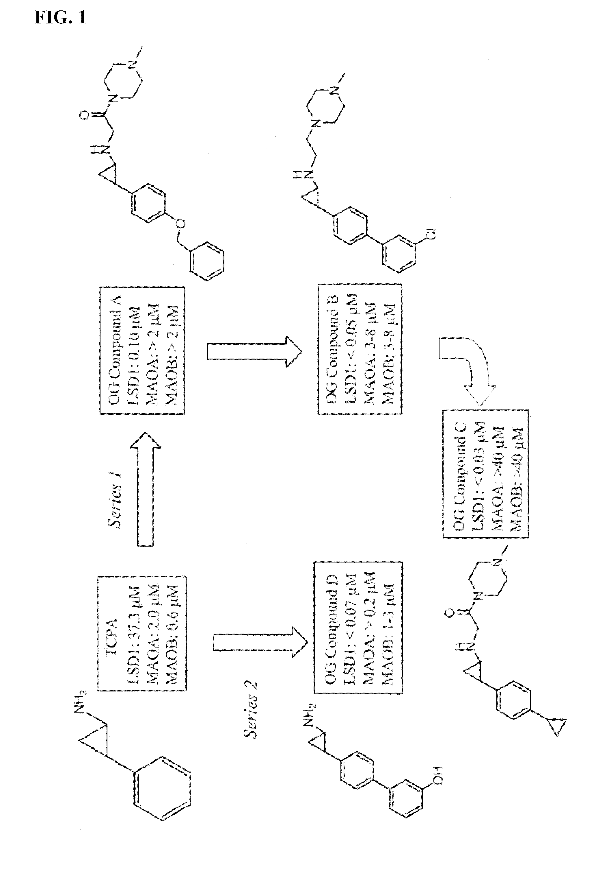 Lysine demethylase inhibitors for inflammatory diseases or conditions