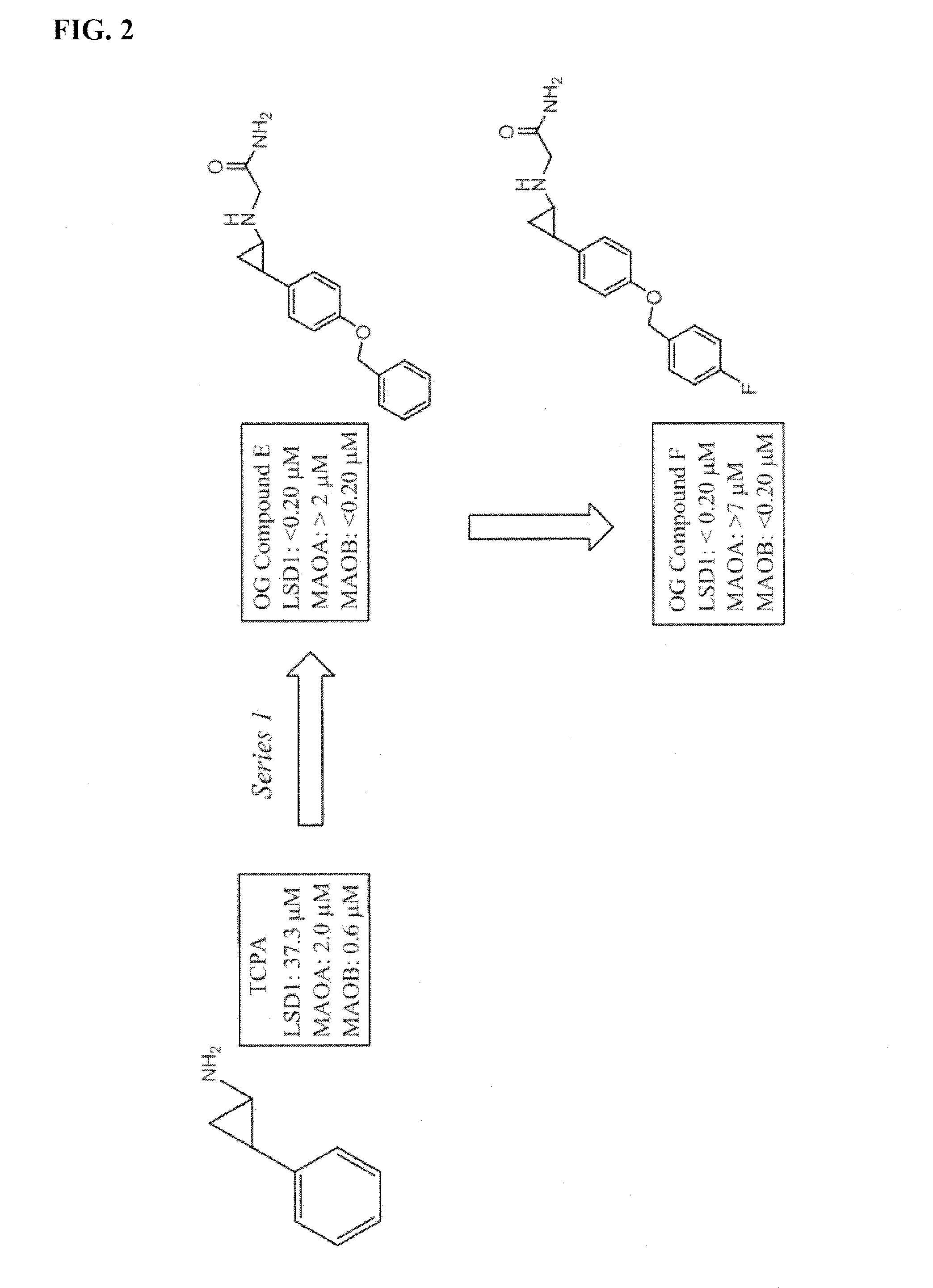 Lysine demethylase inhibitors for inflammatory diseases or conditions