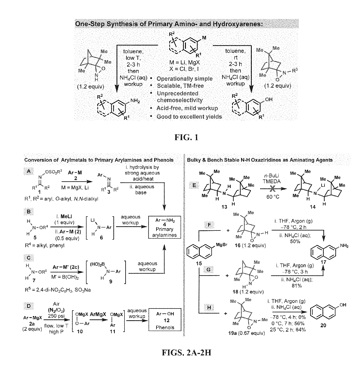 Amination and hydroxylation of arylmetal compounds