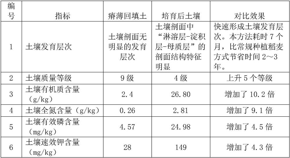 Method for cultivating barren sandy backfill to supplement cultivated land soil development levels