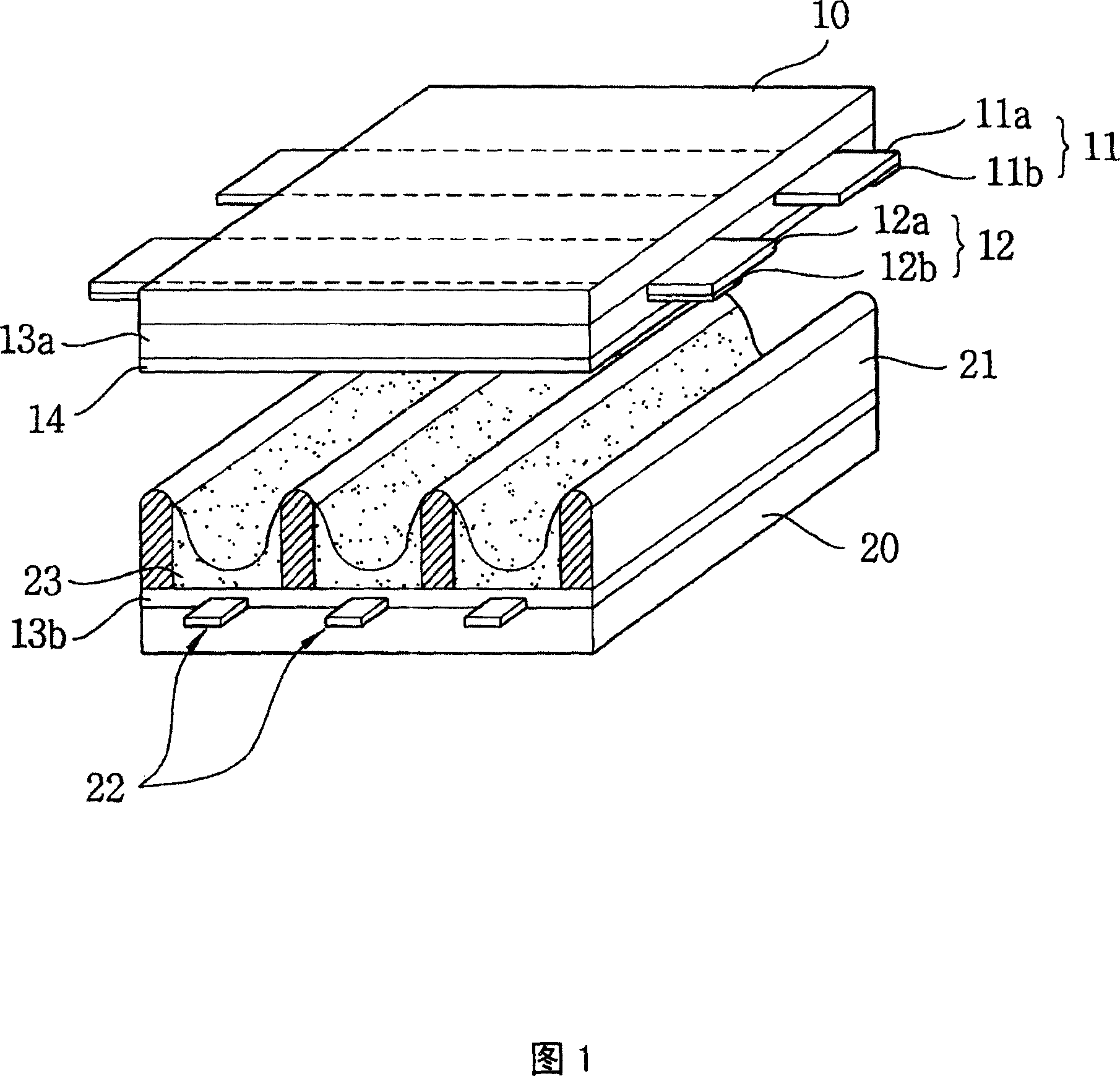 A plasma display and its manufacture method