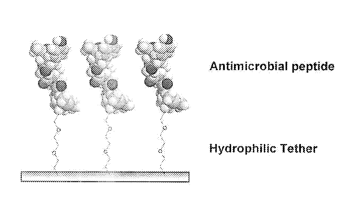 Medical Devices and Coatings with Non-Leaching Antimicrobial Peptides