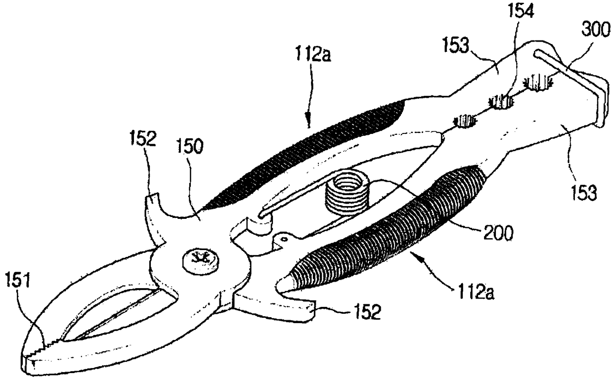 Pruning shears having both functions of hanging on tree branch and absorbing shock