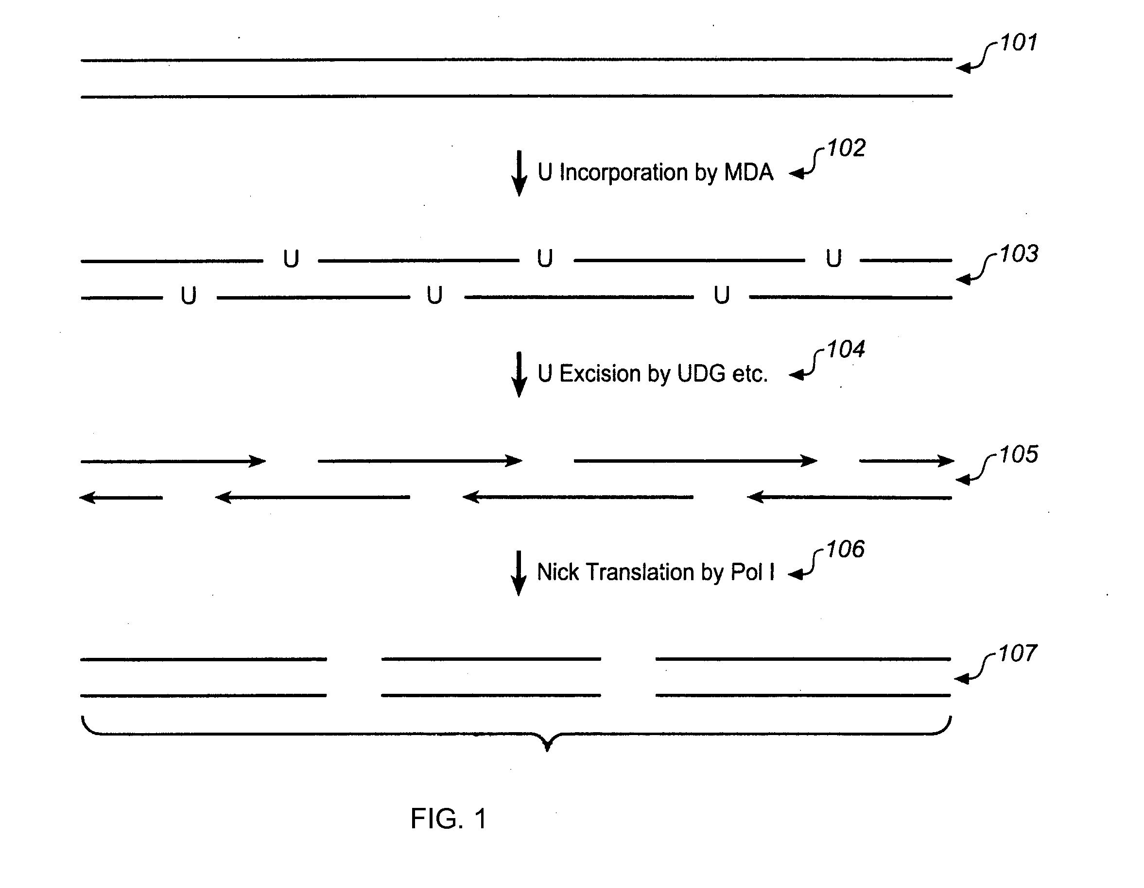 Methods and compositions for long fragment read sequencing