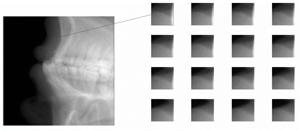 Image denoising method based on projection sequential data similarity
