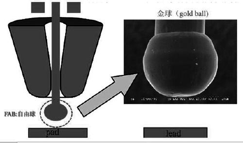 A kind of Lange coupler production process