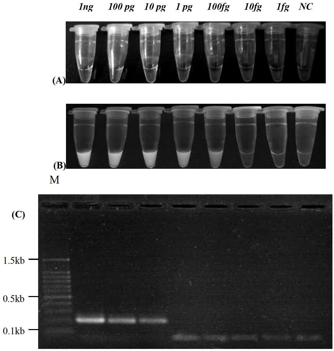 Reverse transcription-loop-mediated isothermal amplification (RT-LAMP) visual detection kit for H1 avian influenza virus