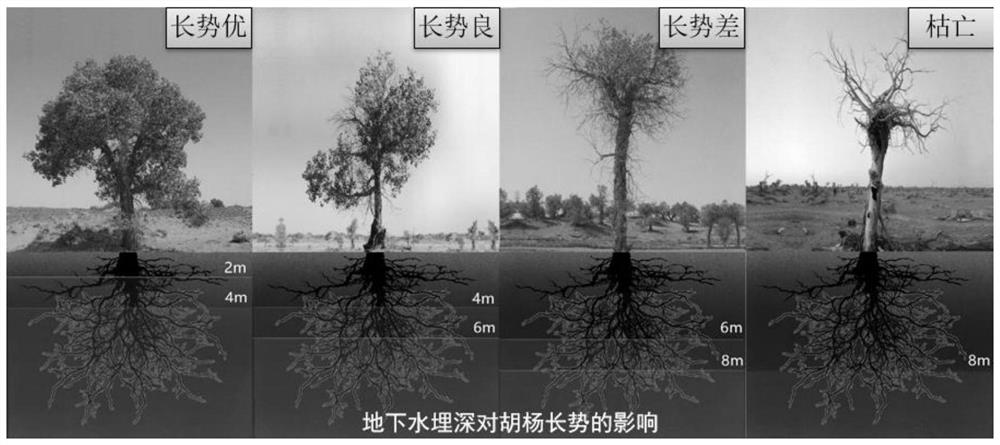 Northwest desert region riverway ecological restoration system based on alternate distributary and subsurface irrigation and construction method