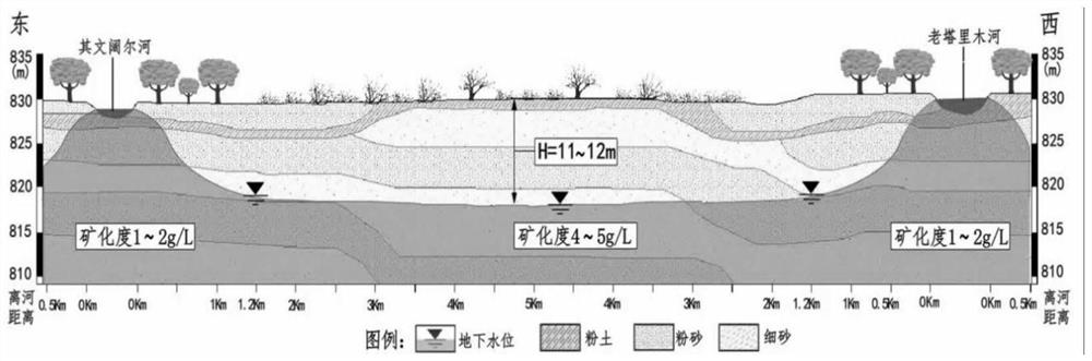 Northwest desert region riverway ecological restoration system based on alternate distributary and subsurface irrigation and construction method