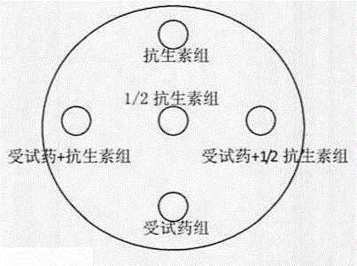 Medicine combination with antibacterial and synergically-antibacterial effects, and preparation method and application