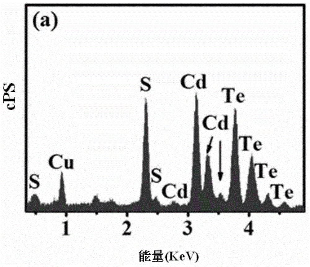 Gourd string structure cadmium sulfide-tellurium heterojunction photoelectrolysis composite material, preparation method and use