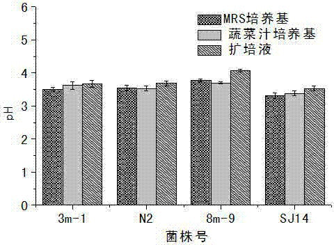 Lactobacillus propagation solution preparation method and inoculant preparation method in industrial salted vegetable production