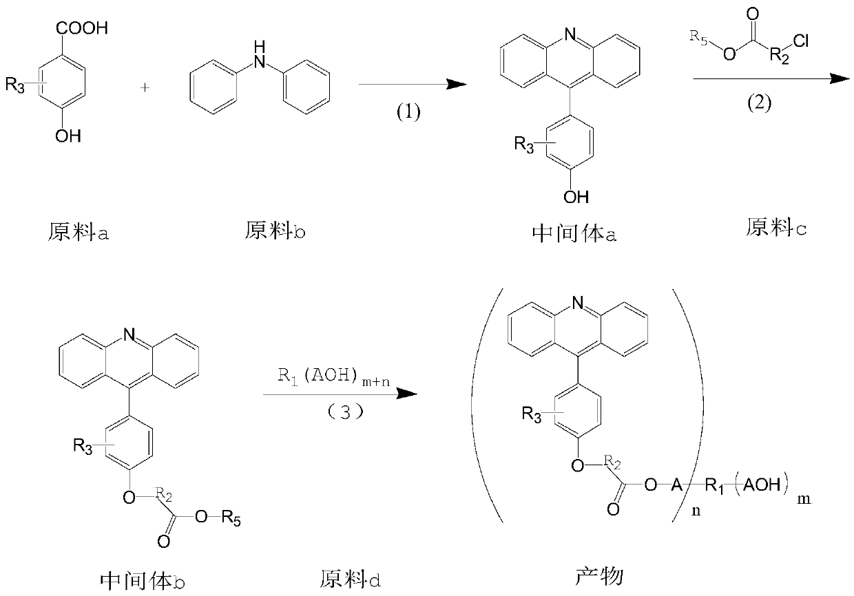 A kind of 9-phenylacridine macromolecular photosensitizer and its preparation method and application