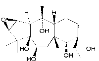 Separation and purification method of rhodojaponin-III monomer