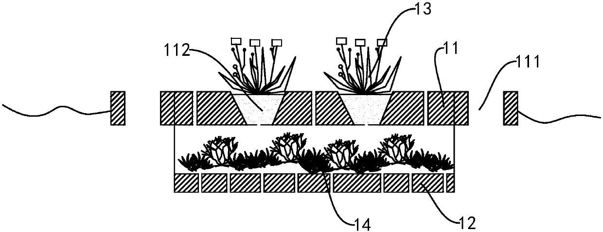 Compound ecological floating island