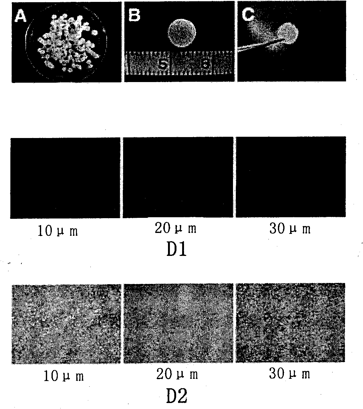 Cartilage cell removal matrix and preparation method and application thereof