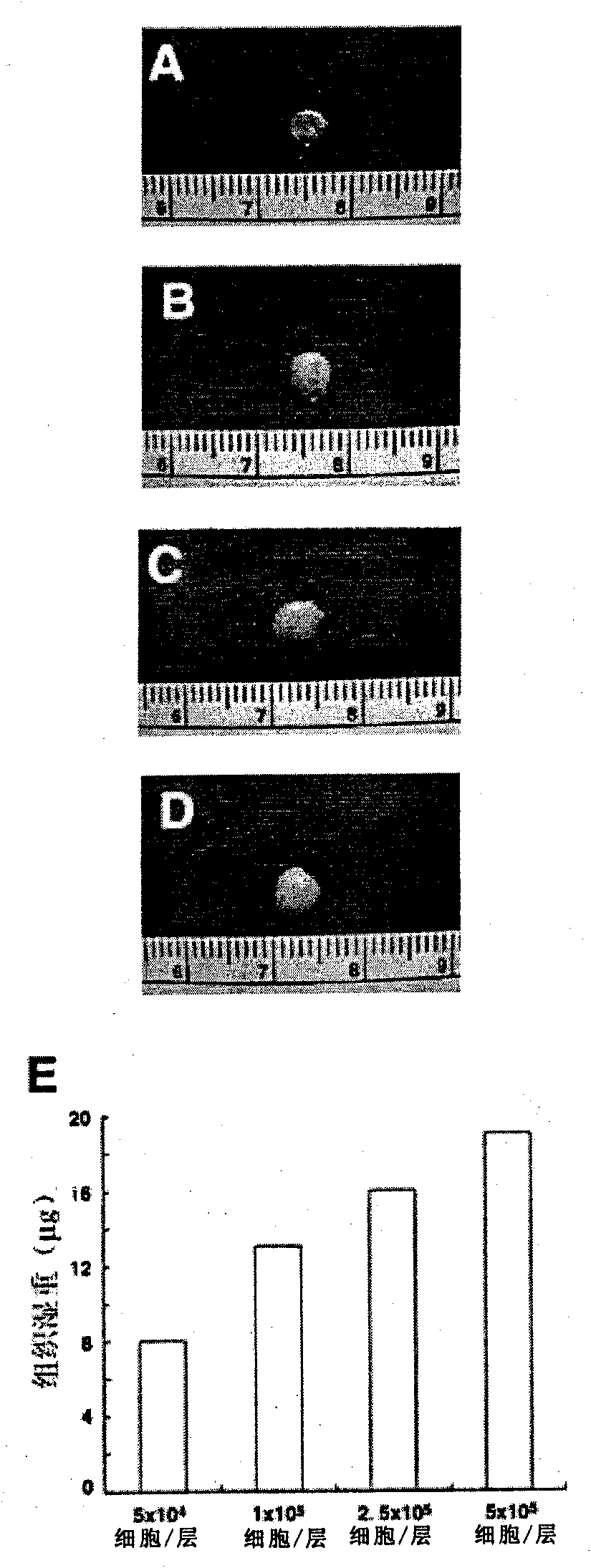 Cartilage cell removal matrix and preparation method and application thereof