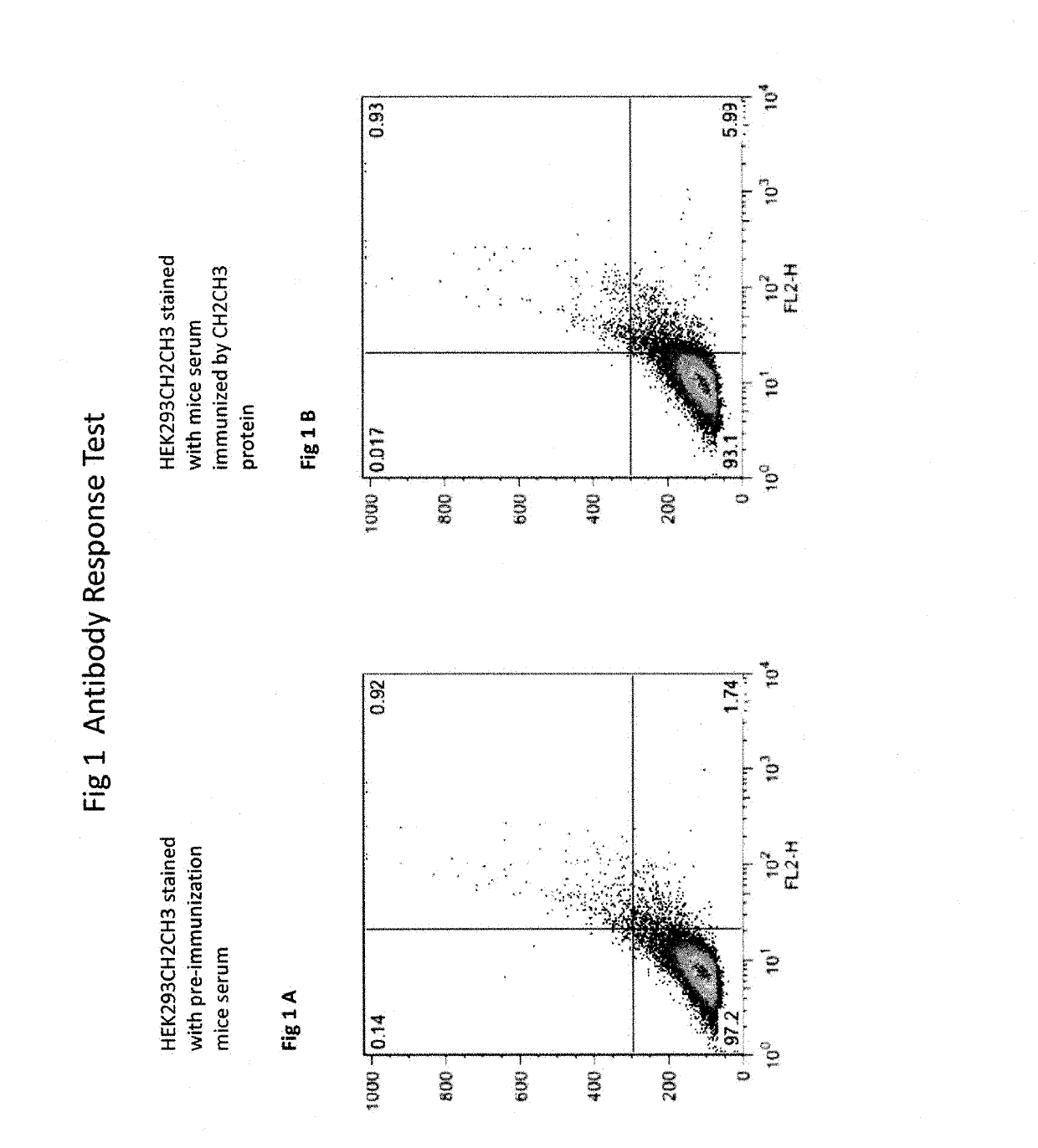 P14.7 protein and uses thereof as vaccine adjuvant