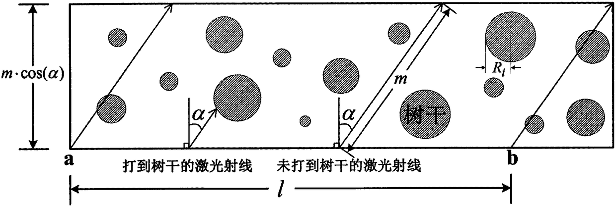 A Method for Estimating Forest Parameters Using the Gap Between Trunks