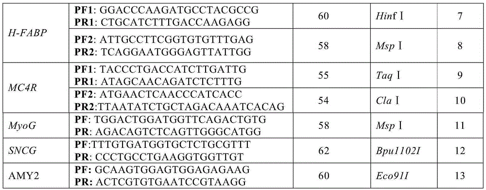 SNP molecular markers used in chromosome 6 of pig for traceability and application thereof