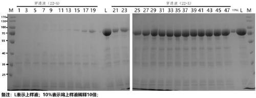 method-for-separating-and-purifying-recombinant-human-lactoferrin-with