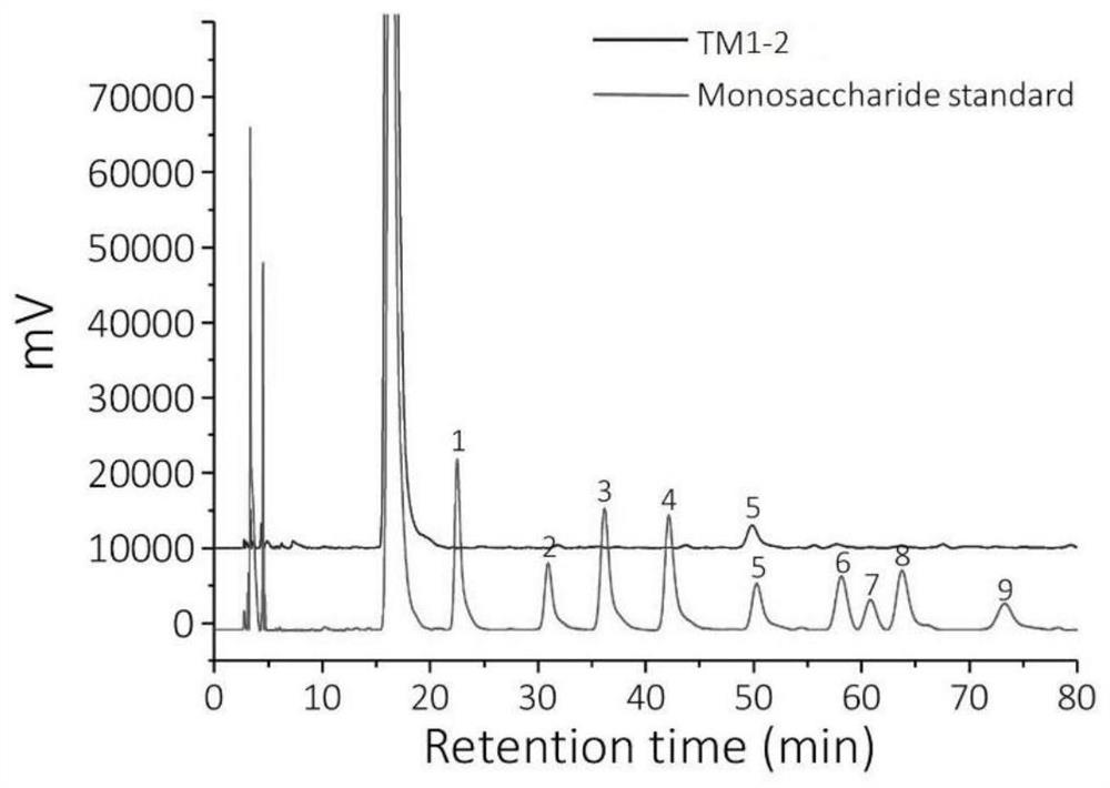 Preparation, identification method and application of dandelion polysaccharide and its selenium nanocomposite