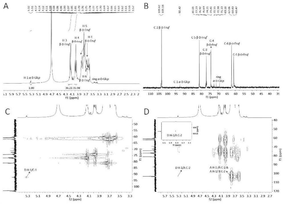 Preparation, identification method and application of dandelion polysaccharide and its selenium nanocomposite