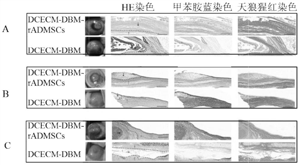 A kind of support for artificial cornea and preparation method thereof