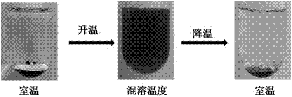 chiral ionic liquid