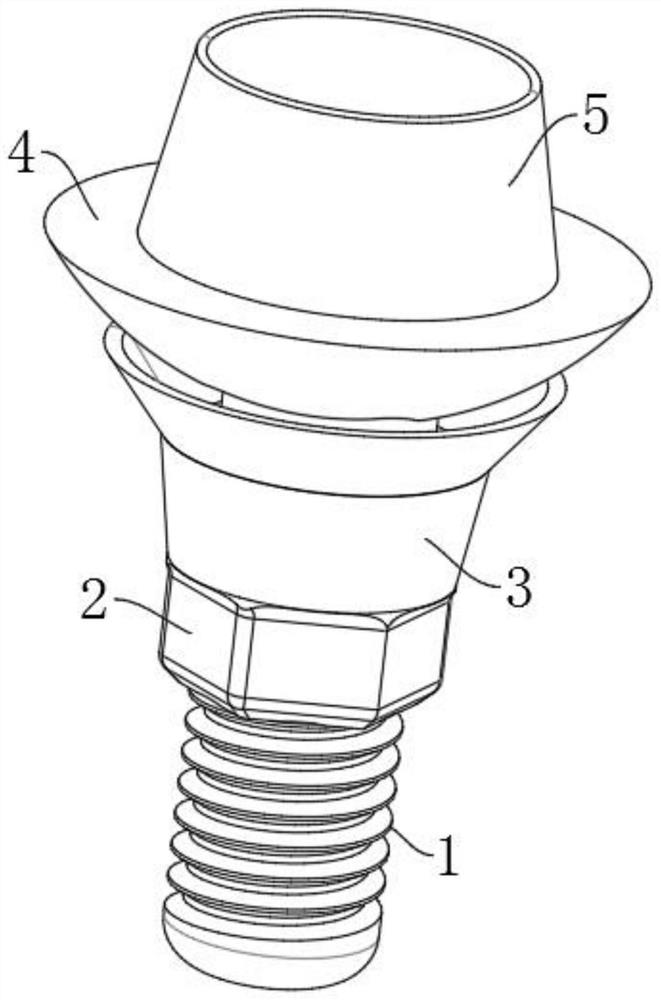 Adjustable universal composite abutment made of biomedical material and used for dental implant